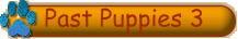 Past Puppies